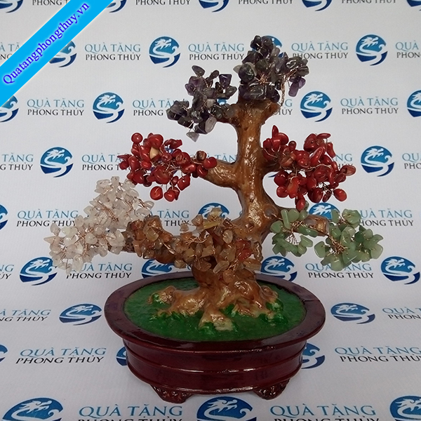 Tên Sản Phẩm